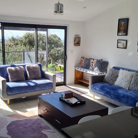 Cosy Country Cottage On A Sunny Hill New Plymouth Exterior photo