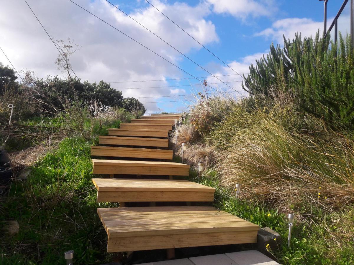 Cosy Country Cottage On A Sunny Hill New Plymouth Exterior photo