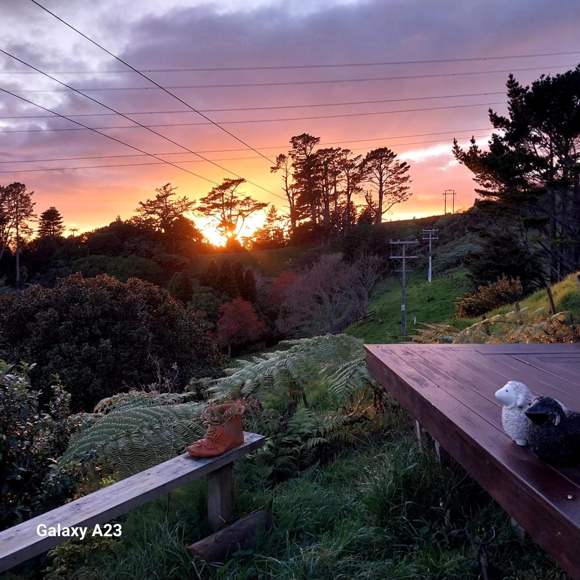 Cosy Country Cottage On A Sunny Hill New Plymouth Exterior photo